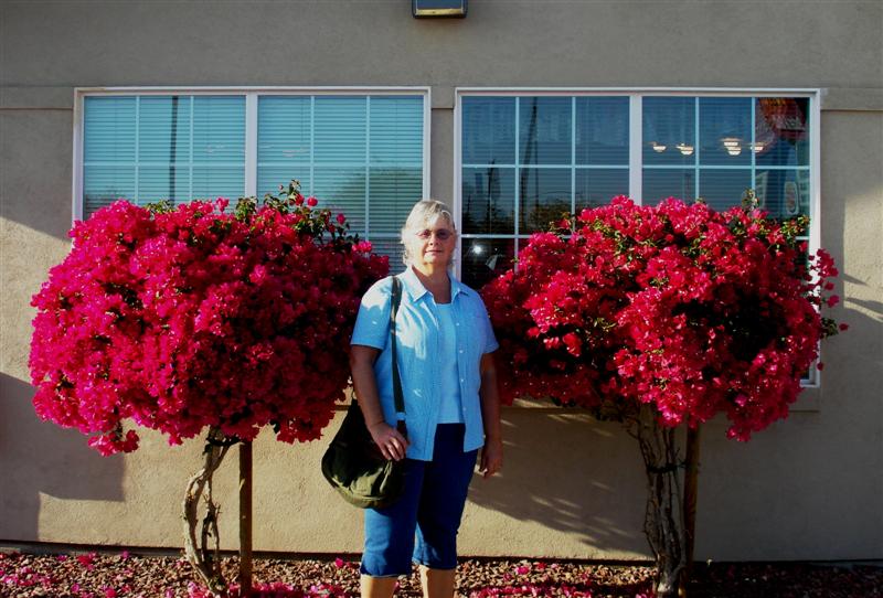 JOURNAL OF TININTHEWIND Casa Grande Arizona