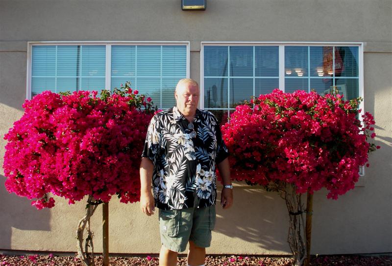 JOURNAL OF TININTHEWIND Casa Grande Arizona