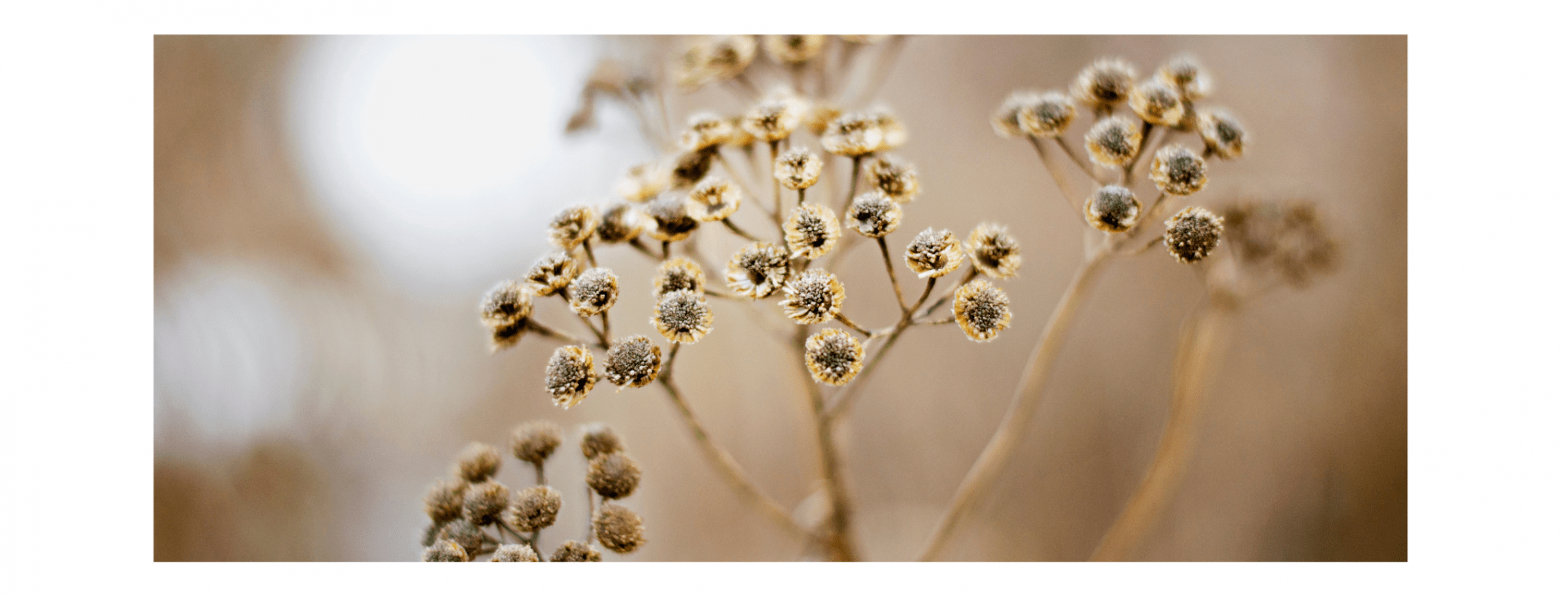 The Time I left The Philippines To Start A New Life in Japan Beth in