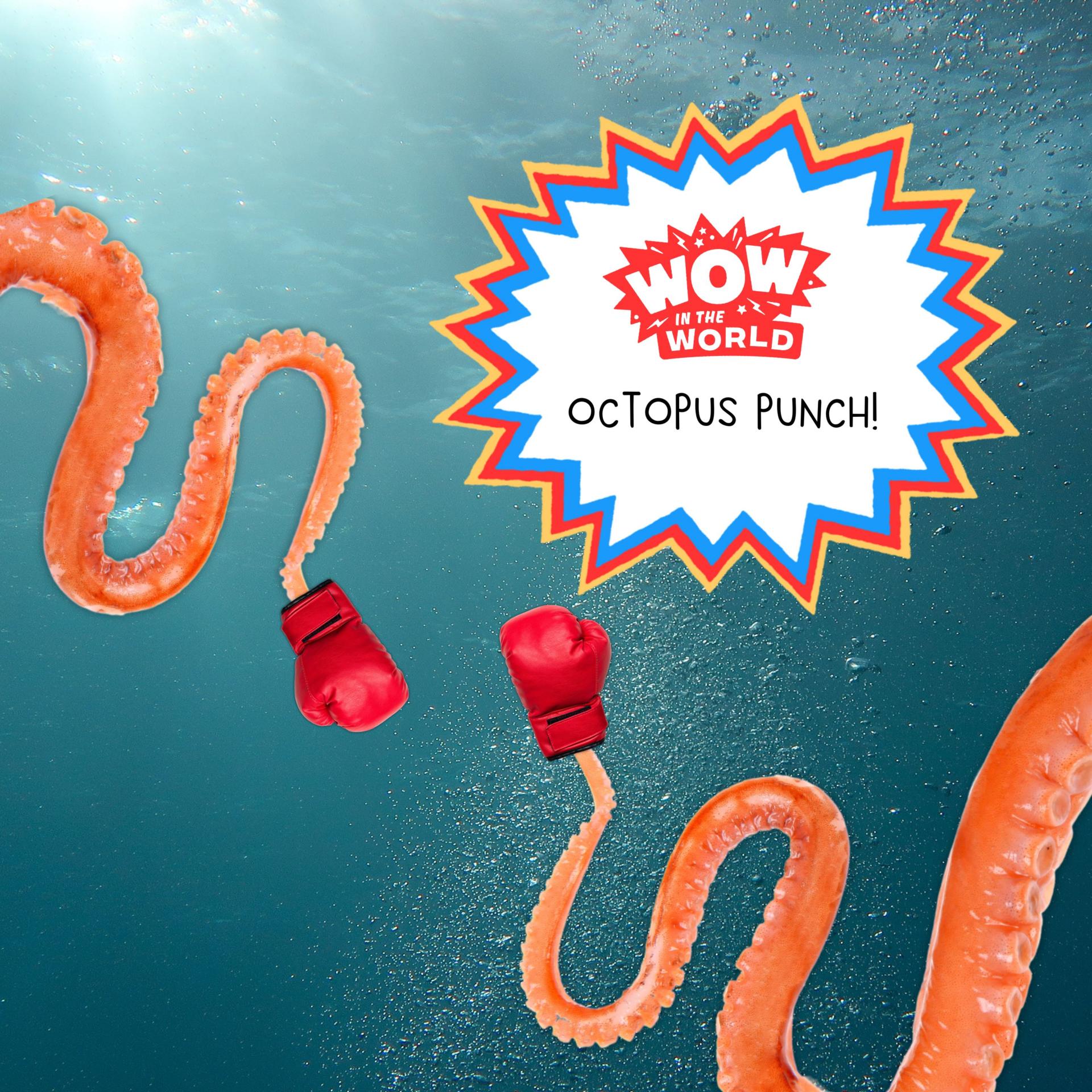 Octopus Punch Tinkercast