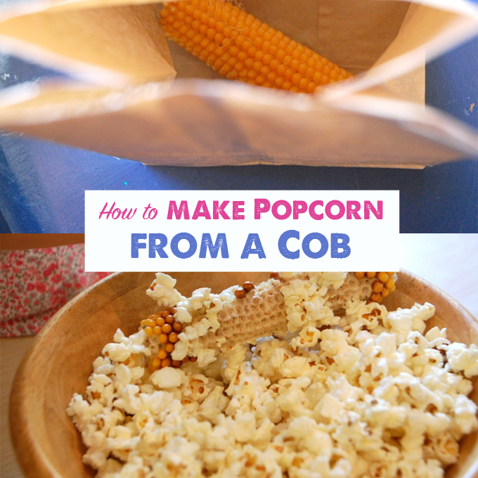 Popcorn Cob How to Pop Popcorn from a Cob TinkerLab