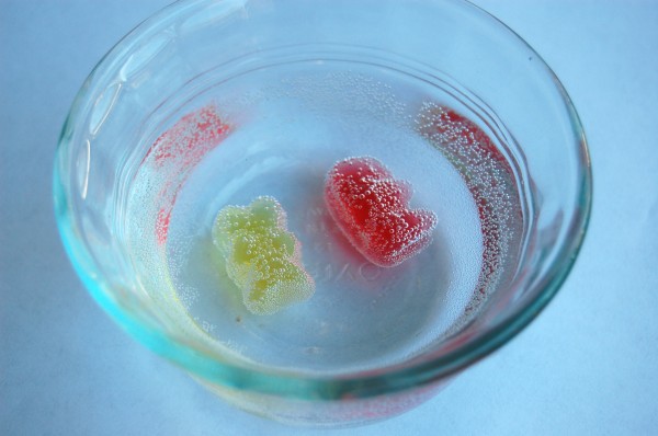 Growing Gummy Bear Experiment TinkerLab