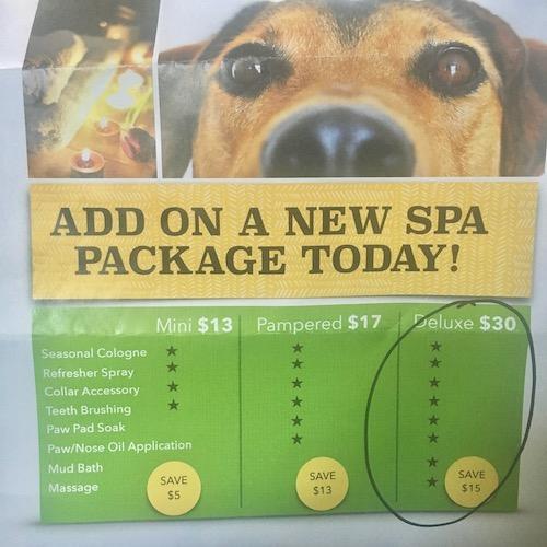 dog spa deluxe