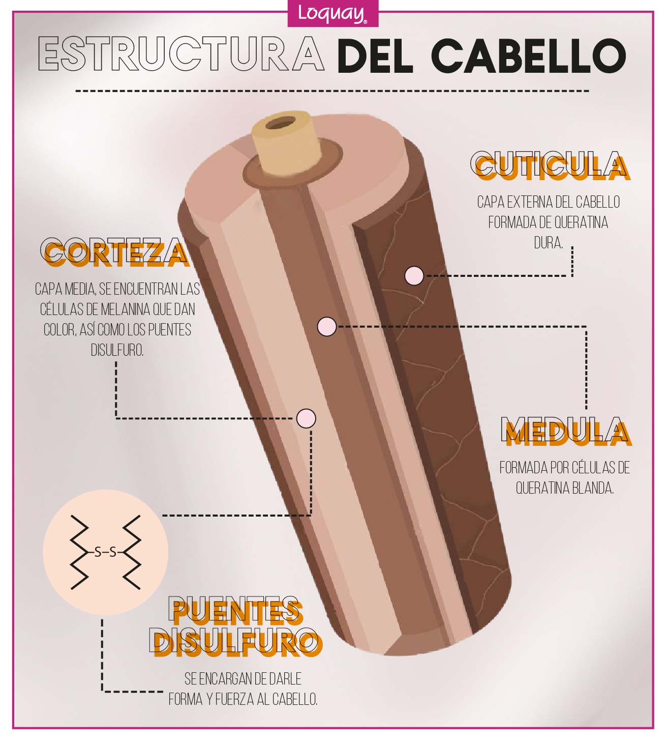 ¿Qué es el pH? Tinte para el Cabello Tips y Tendencias