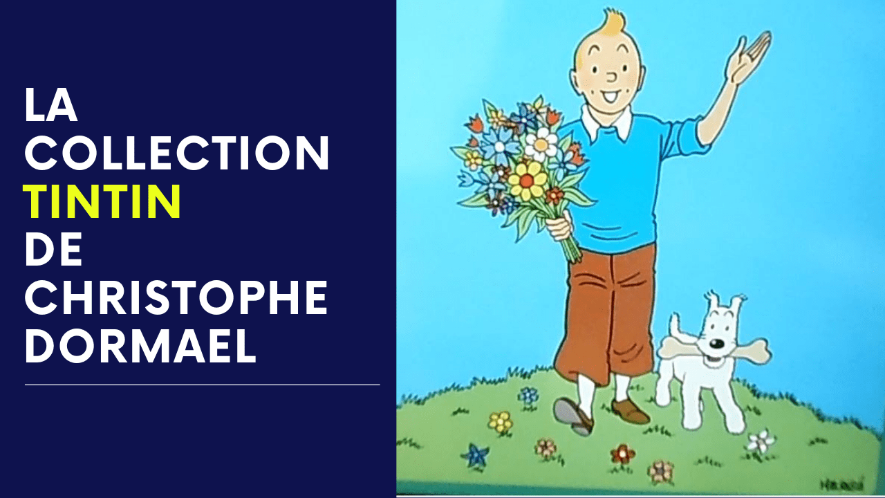 TINTIN : LA COLLECTION DE CHRISTOPHE
