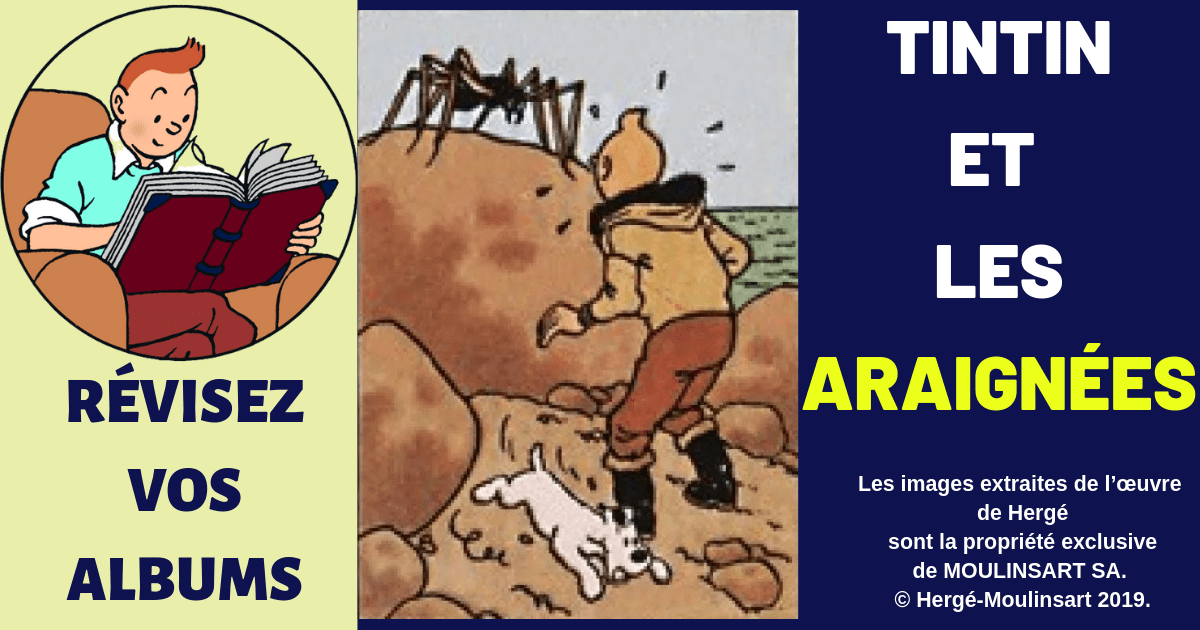 TINTIN ET LES ARAIGNÉES : HERGÉ ARACHNOPHOBE ?