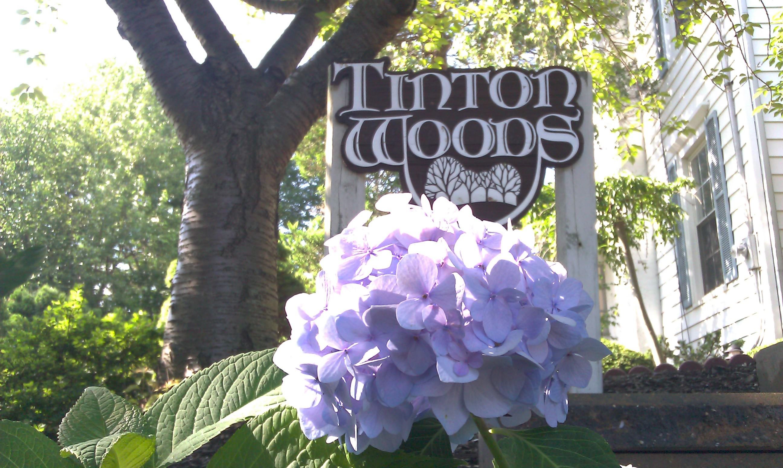 Tinton Woods Center to Tinton Woods!