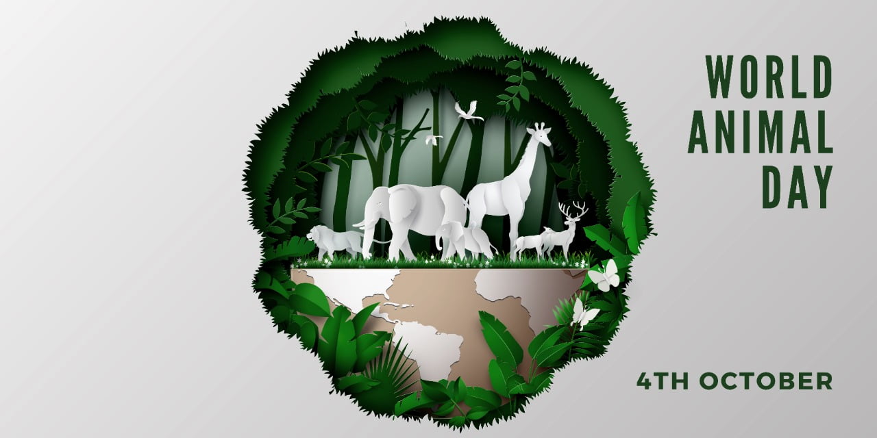 The Importance of World Animal Day