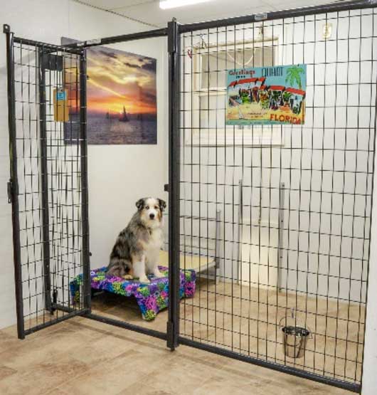 Dog Training & Boarding, Mt. Sterling, KY Tin Woof Inn