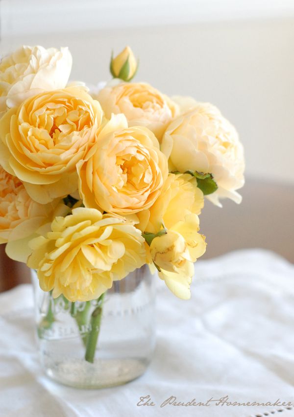 The 7 stunning varieties of yellow roses that should be in your home