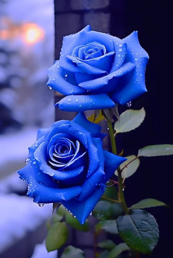 Understanding Rose Anatomy for Better Care A Guide to Nurturing Your