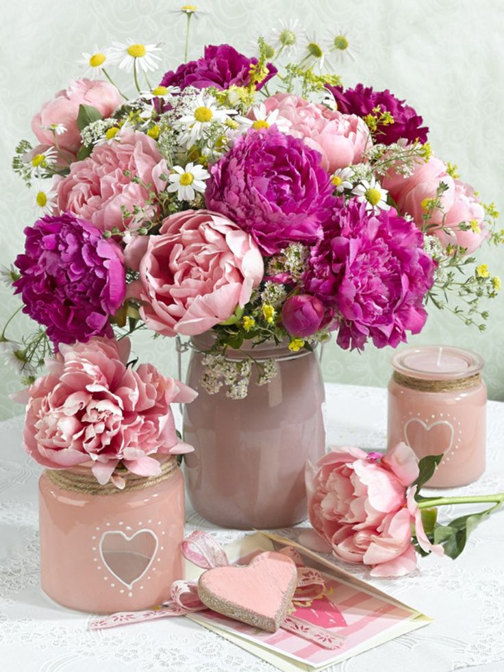 Techniques for Dividing Peony Clumps Tips for Successful Propagation