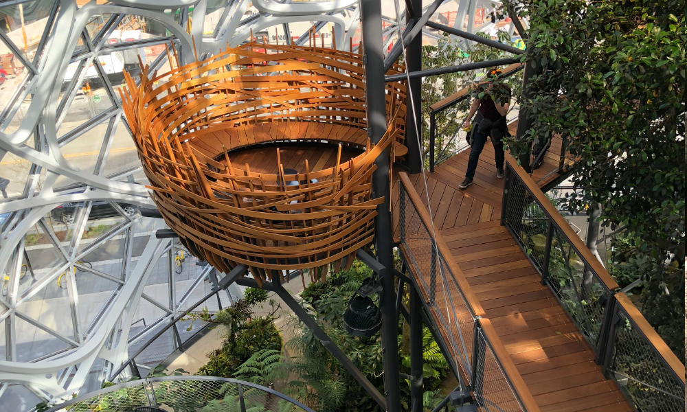 Amazon Spheres Your Guide to How to Get Inside and What to See
