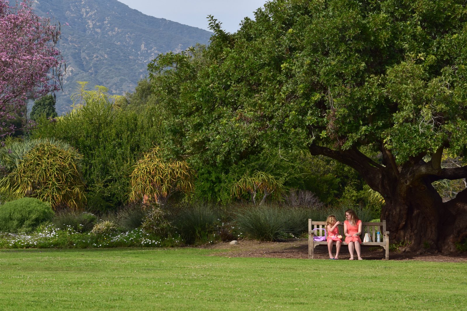 Day Trip to the L.A. County Arboretum & Botanical Garden Tinybeans