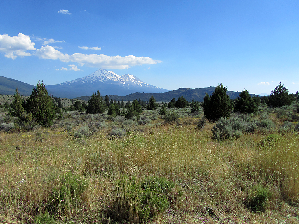 Family Finances Living in Mount Shasta on 20,000 a Year