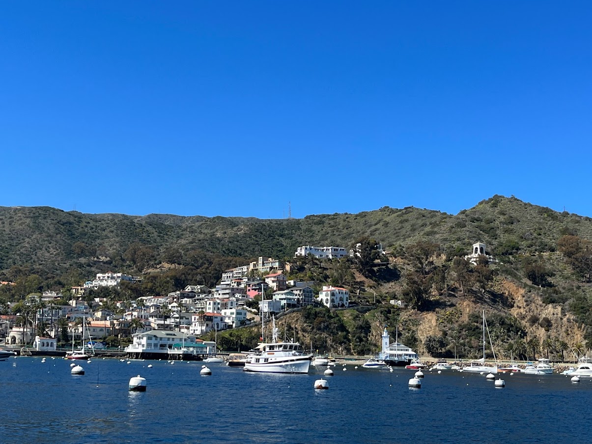 Can You Take Dogs To Catalina Island