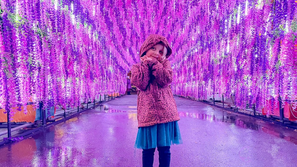 WildLanterns Guide for Seattle Families 2022 Tinybeans