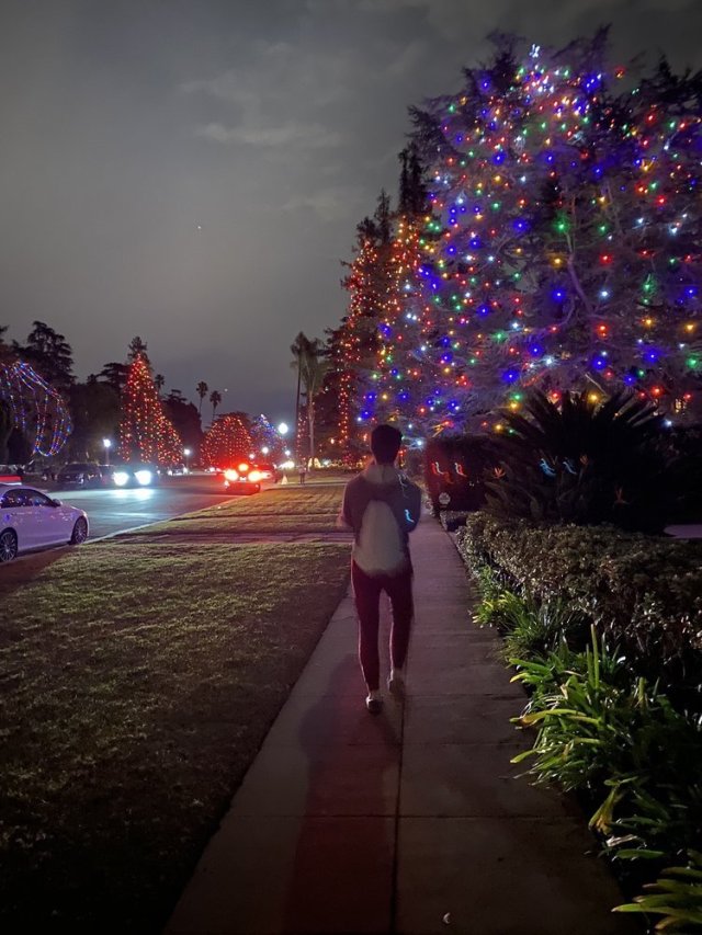 All the Best Places to See Holiday Lights in Los Angeles Tinybeans