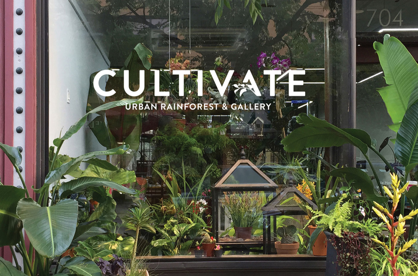 Cultivate Urban Rainforest & Gallery Tiny Bold Creative