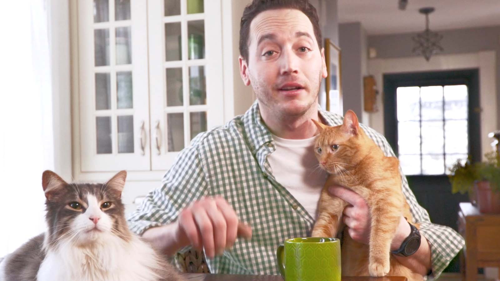 World's Best Cat Litter™ — A Case Study on a National Ad Campaign