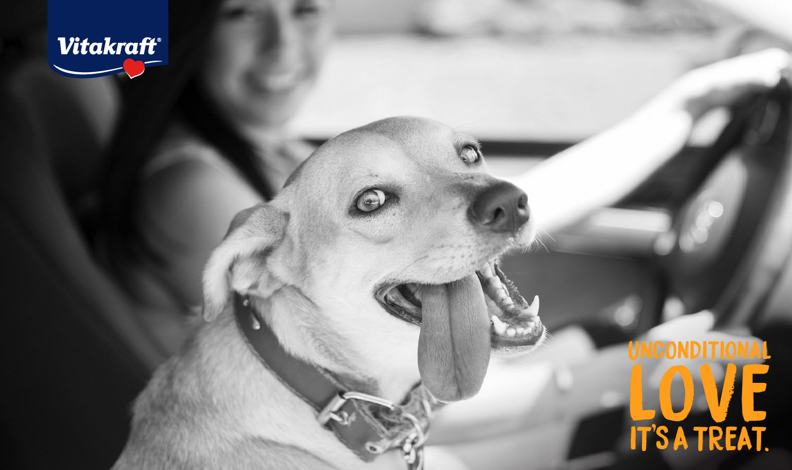 Vitakraft® — Giving a Global Pet Treat Company a New Digital Identity