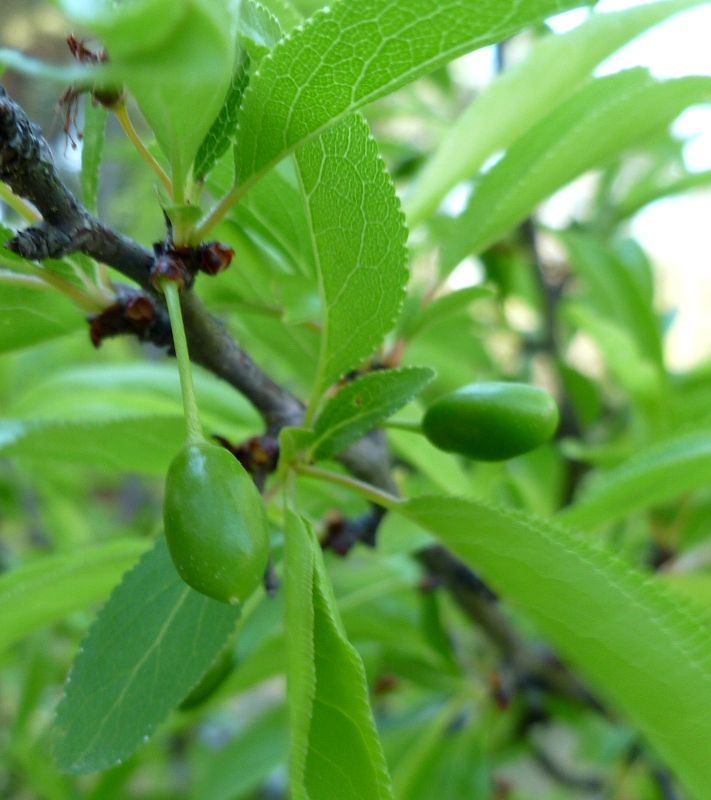 301 Moved Permanently