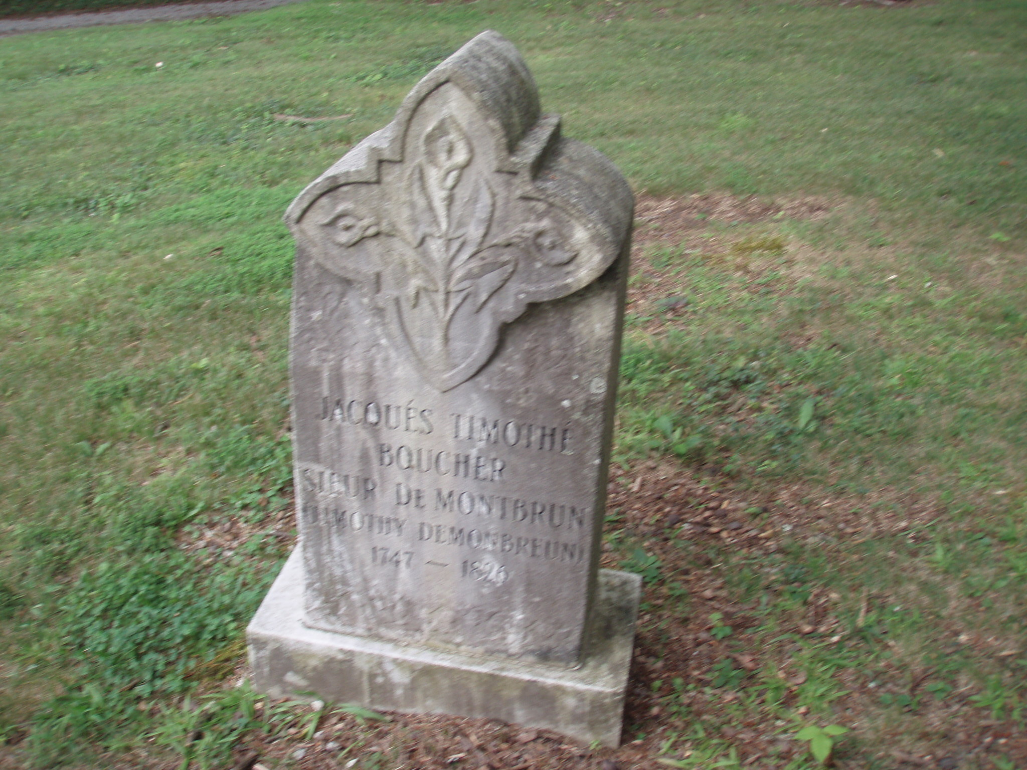 The Carney Cemetery Tiny Cat Pants