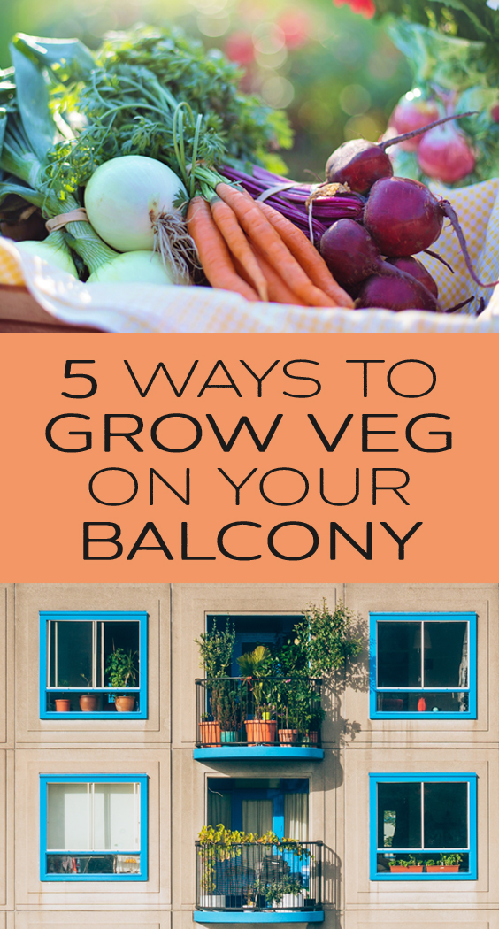 5 Ways to Grow Veg on Your Balcony Tiny Garden Big Life