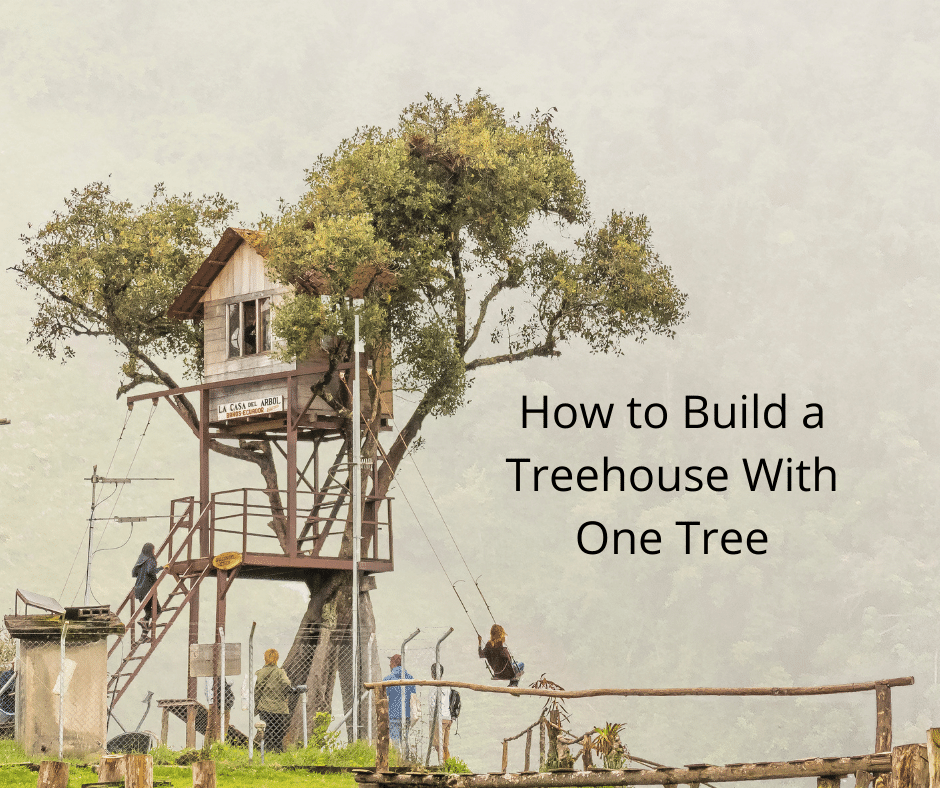 Can You Build a Treehouse in a Protected Tree? Tiny House 43