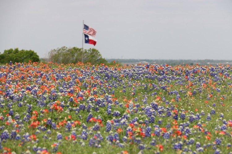Tiny House Community Spur, Texas Ground Zero for the Homesteader