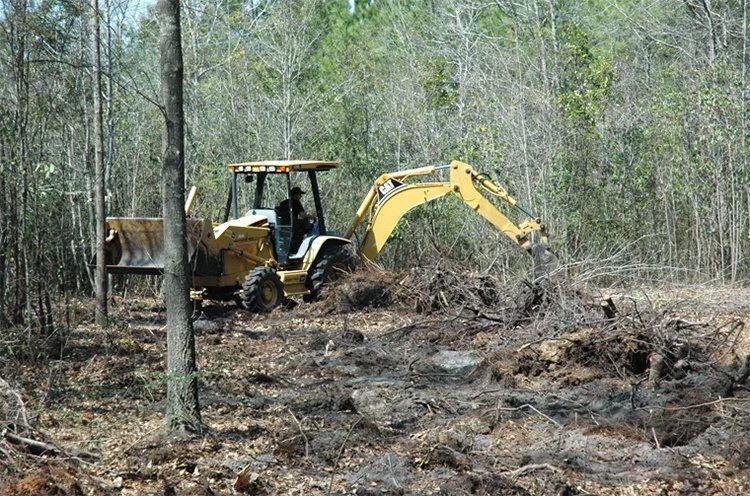 The Art of Clearing Land For Your Tiny House Tiny House Blog
