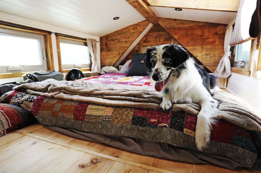 Centerville, OH My Childhood Home & My Tiny Home Tiny House Giant