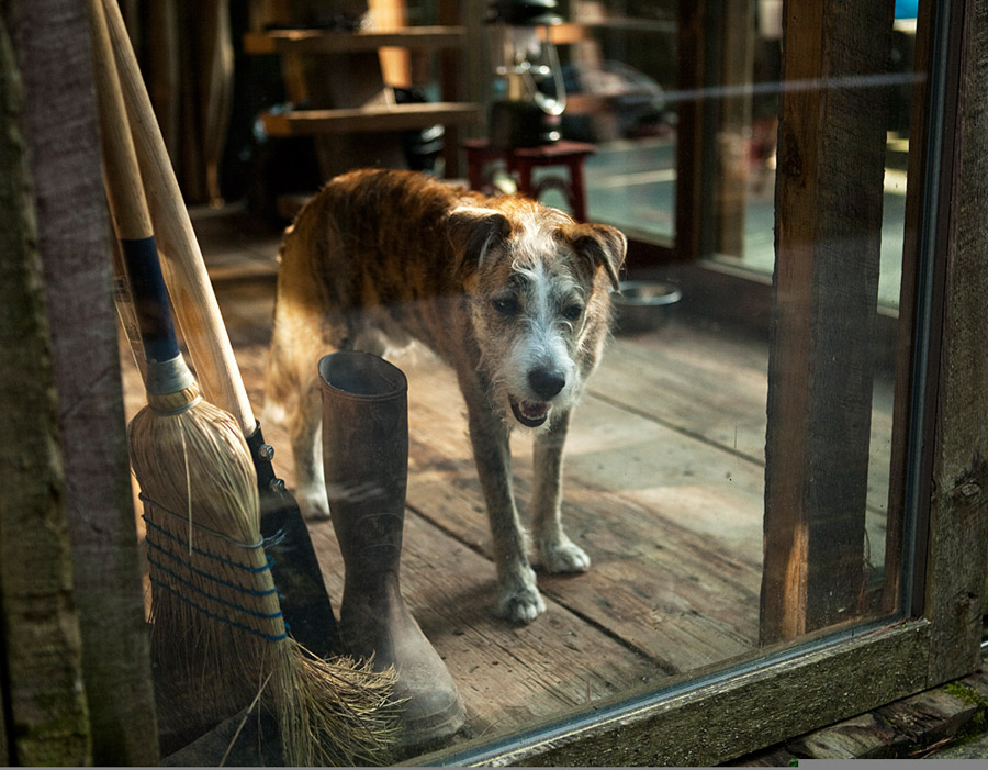 Beaver Brook Cabin Tiny House Swoon
