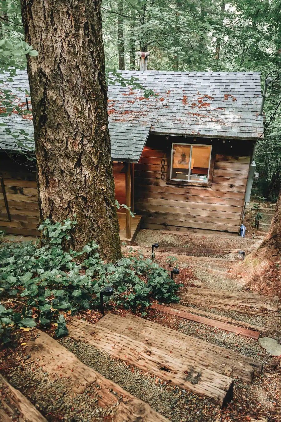 The Cobb Haus Woodland Cabin w/ Bright Interior