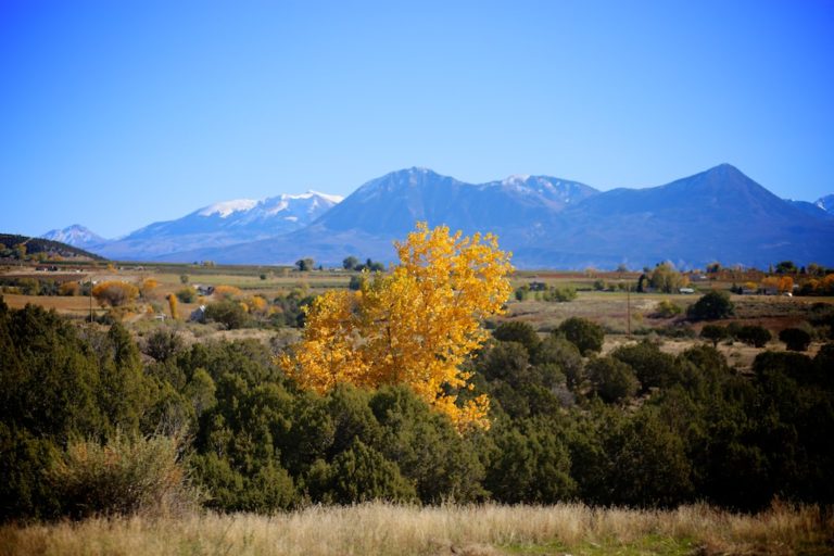 Rural Colorado Tiny House Lot for Rent
