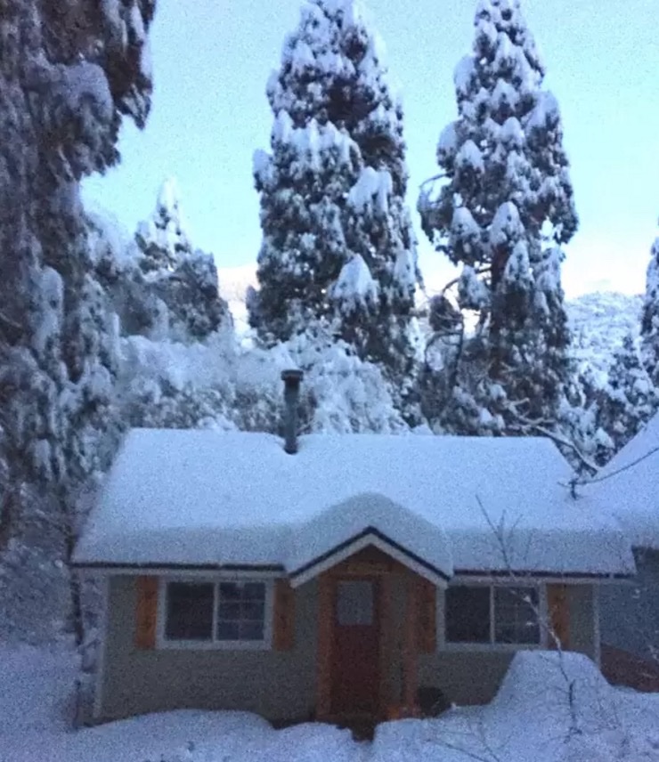 Forest Falls Tiny Cabin