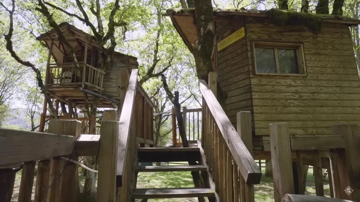 30 Years Building 13 Incredible Treehouses