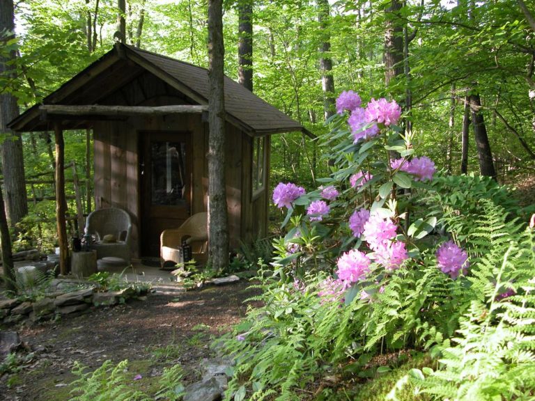 Two Tiny Cabins with Land for Sale near Ithaca, NY