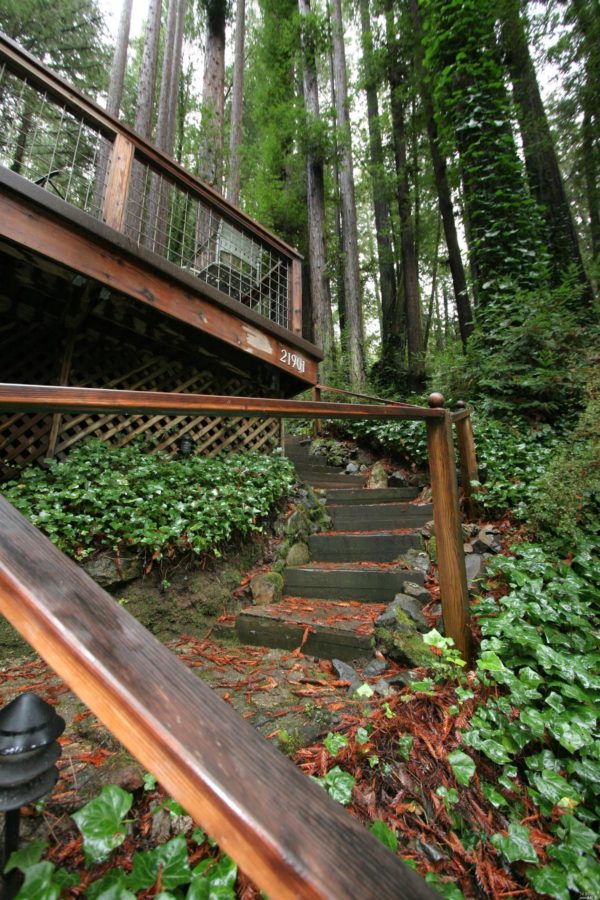 Little Hawaiianstyle Cabin in Monte Rio, California (For Sale)