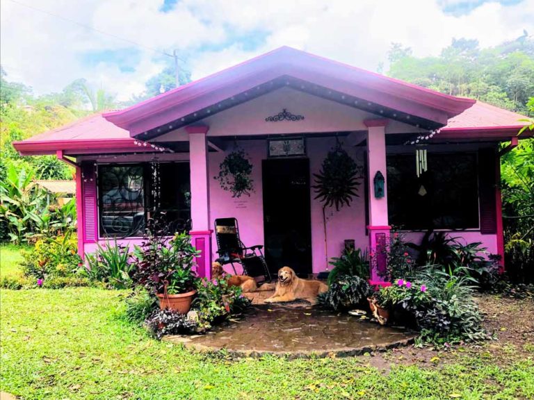 Roberta's Small Cottage In Costa Rica