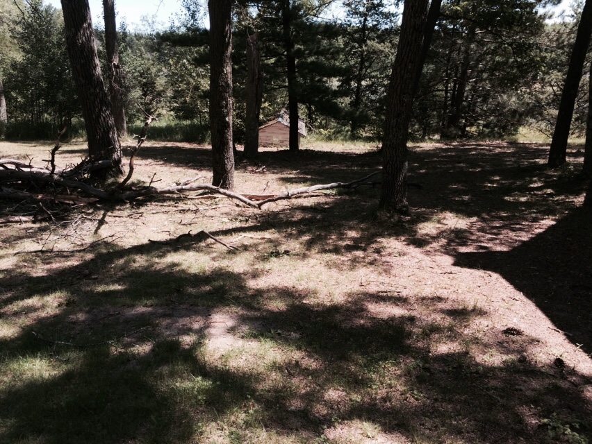 Rural Central Wisconsin Tiny House Lot For Rent