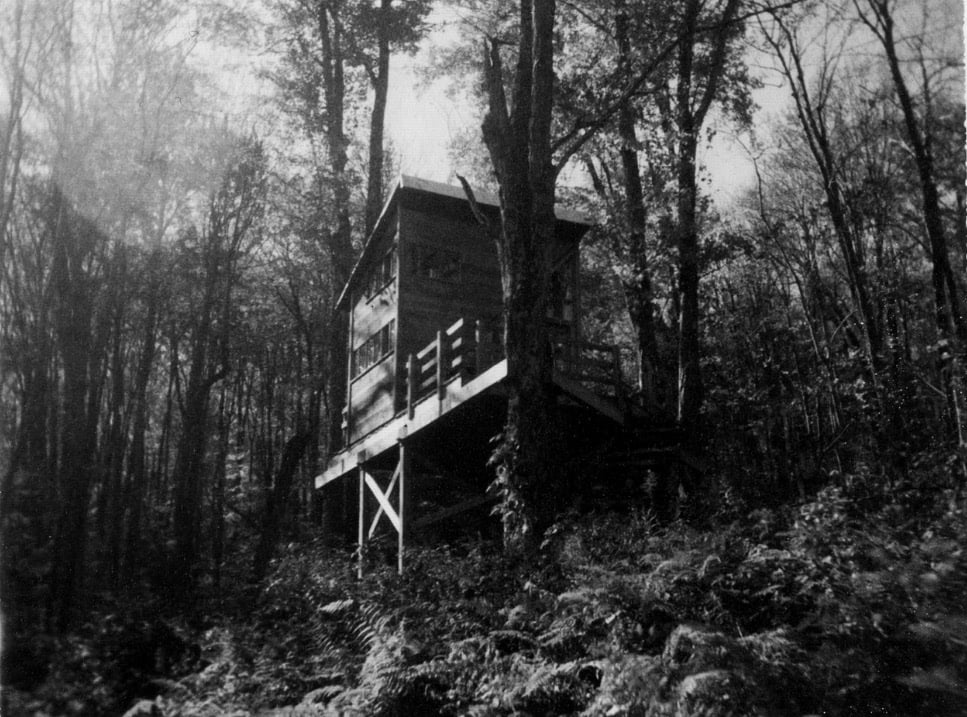 Treehouse For Sale in New York