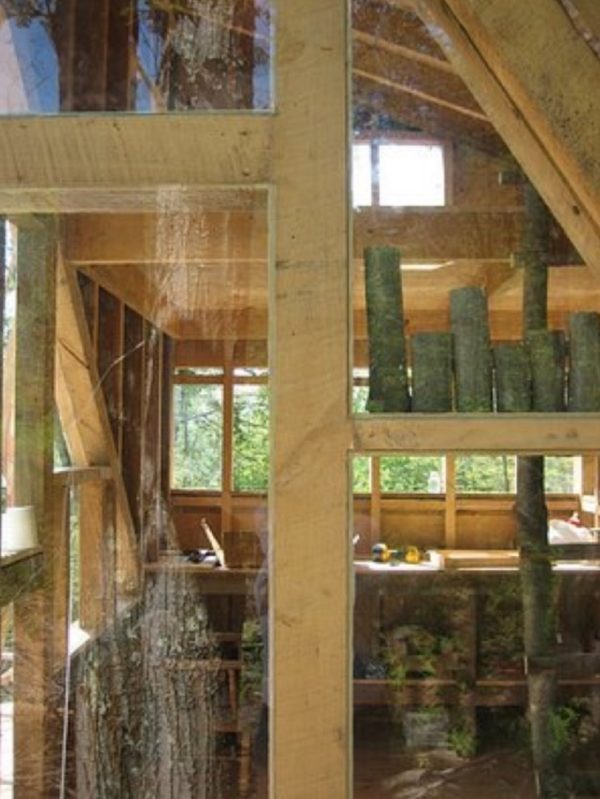 Treehouse For Sale in New York