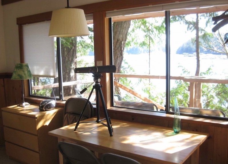 Waters Edge Tiny Cabin