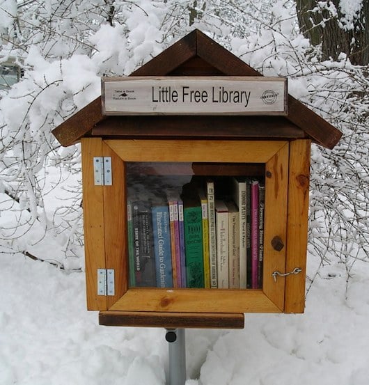 Tiny House Libraries Are Real in Wisconsin