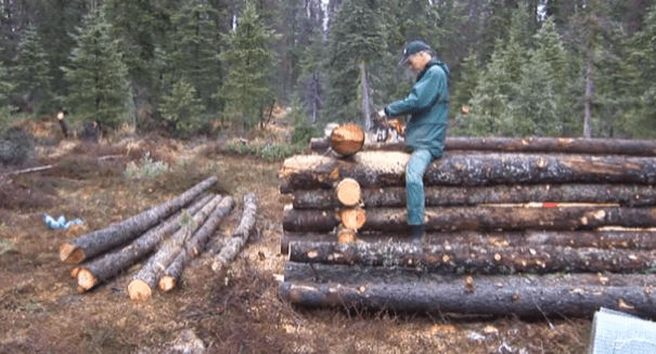 Tiny Pioneer Log Cabin in Alaska Built in 15 Days?