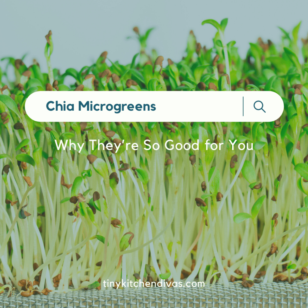 Chia Microgreens Why They're So Good for You Tiny Kitchen Divas