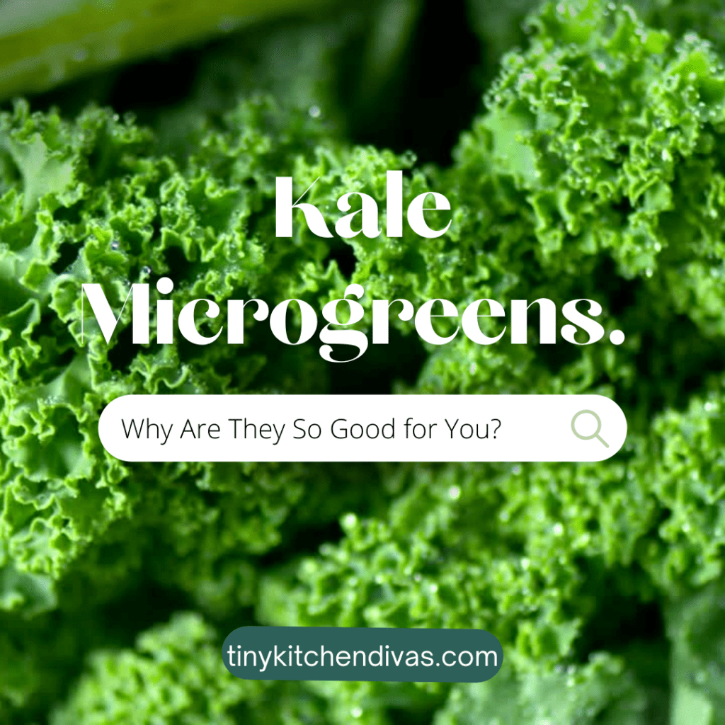 Kale Microgreens Why Are They So Good for You? Tiny Kitchen Divas