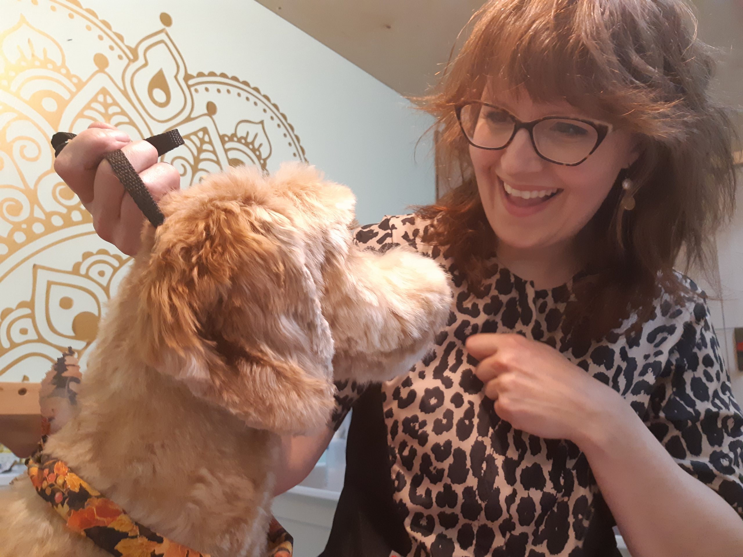 Gallery Tiny Paws Dog Spa