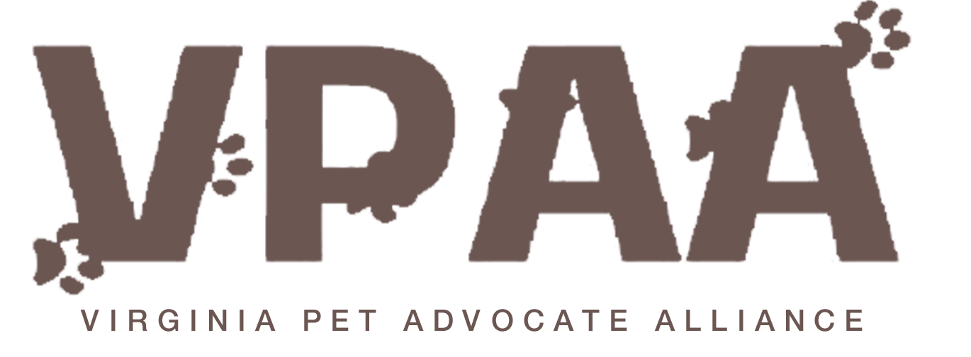 Tiny Paws Puppies For Sale In Ruckersville & Franklin, Virgina